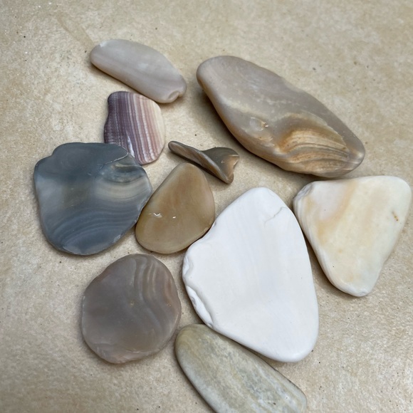 🌊 Set of 10 Calming Serenity Shells 🐚 + a shark tooth!🦈 Fidget or decor - Picture 7 of 7